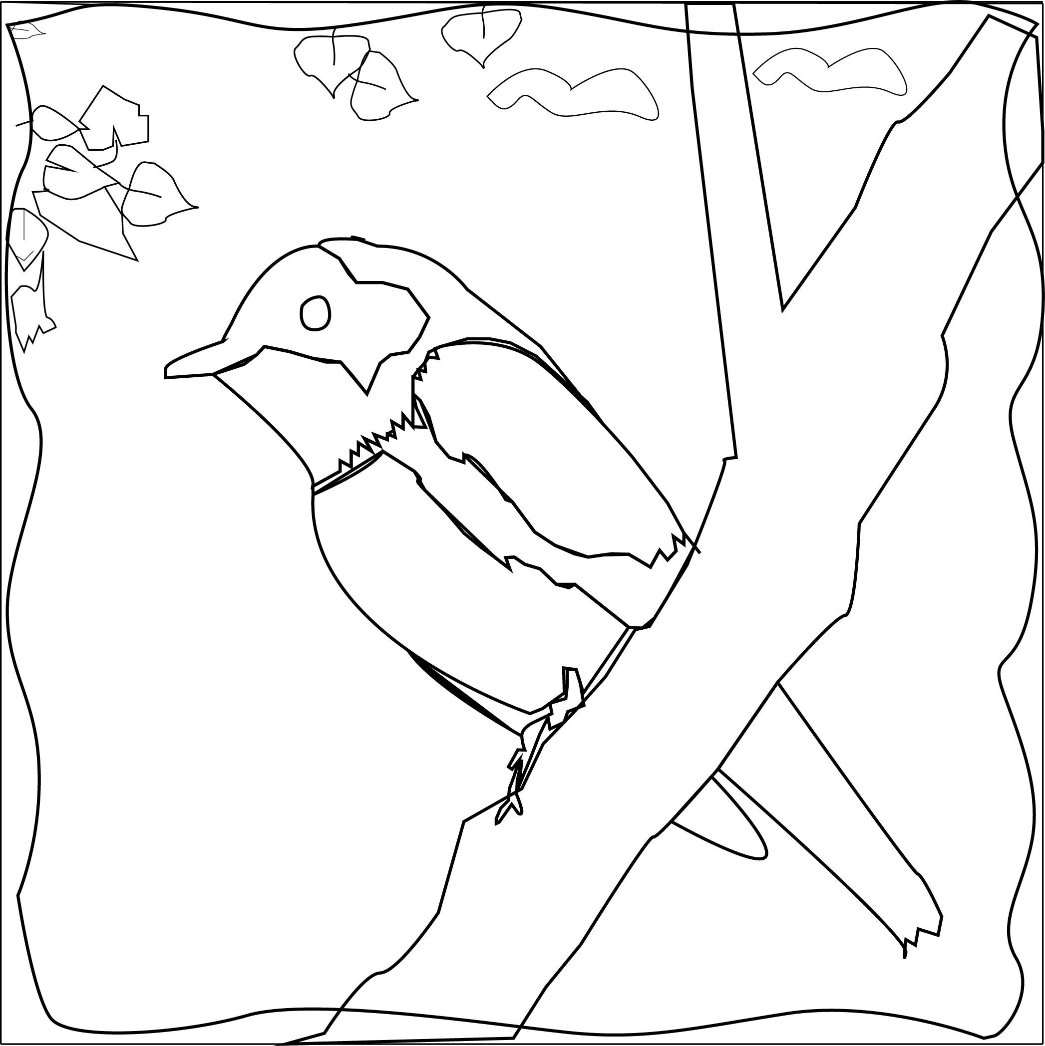 Croasmun_Dendroica cerulea