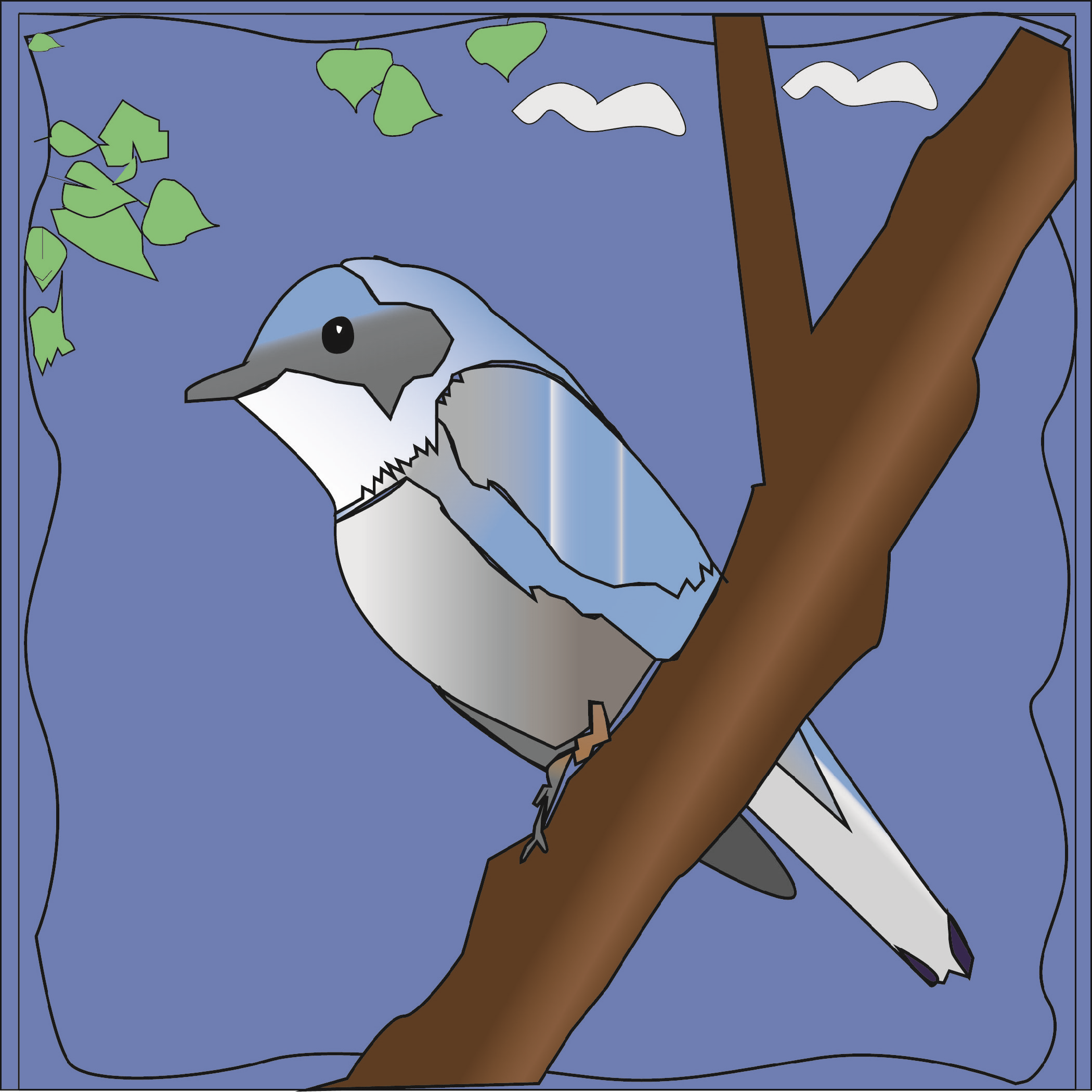 Croasmun_Dendroica cerulea_Color 7-7p