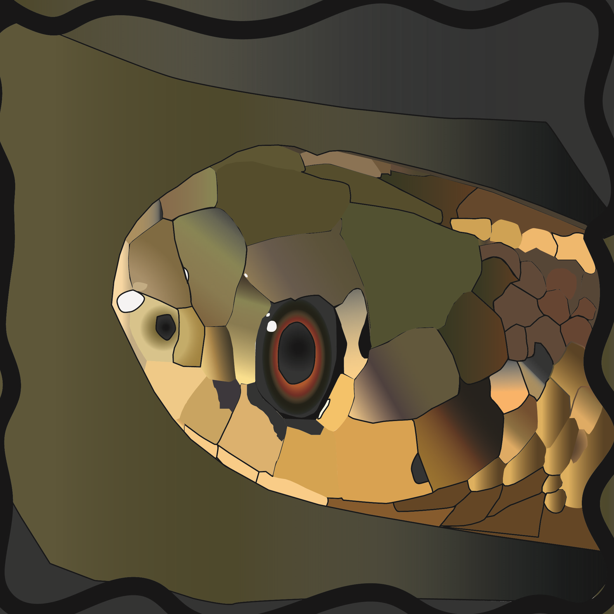 Croasmun_Thamnophis butleri_Redone jpg-01-01-01p